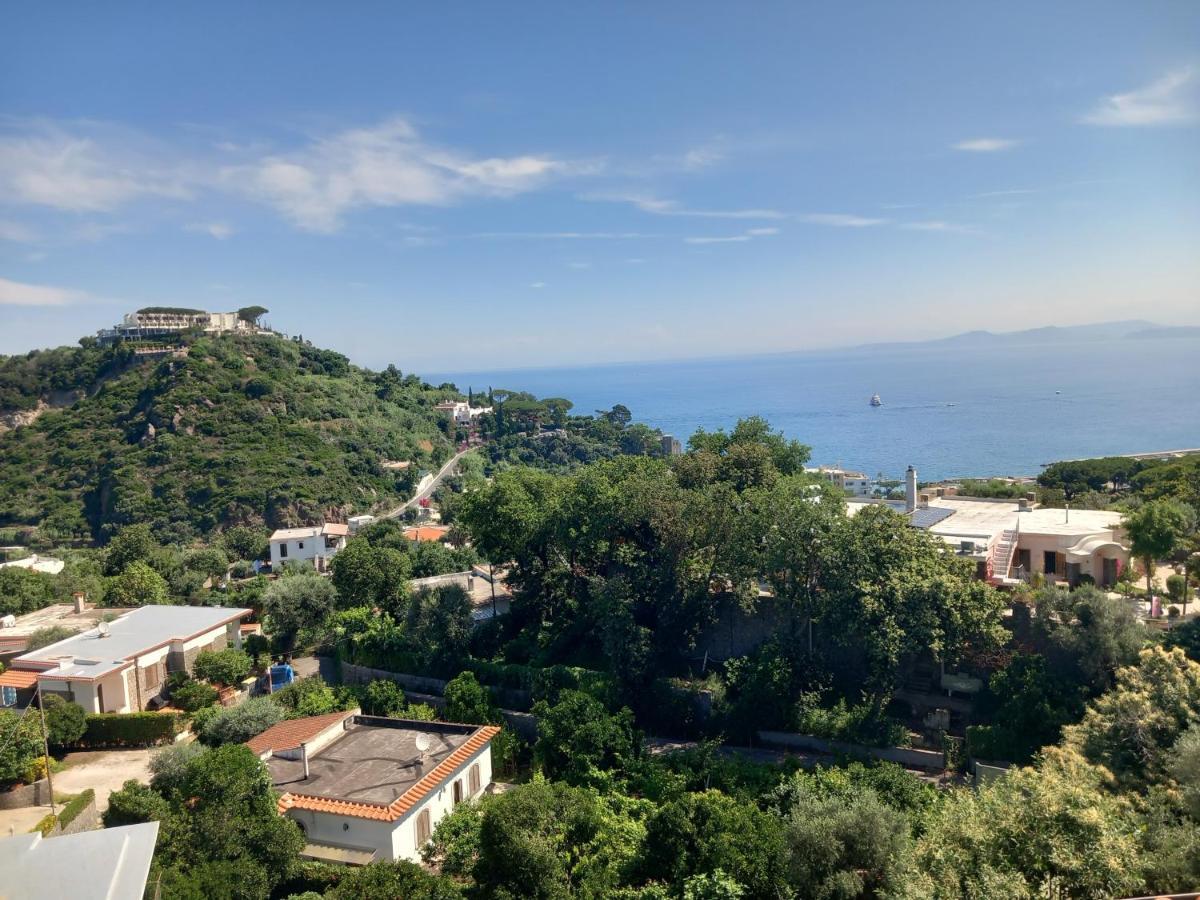 Villetta Panoramica Форио Экстерьер фото